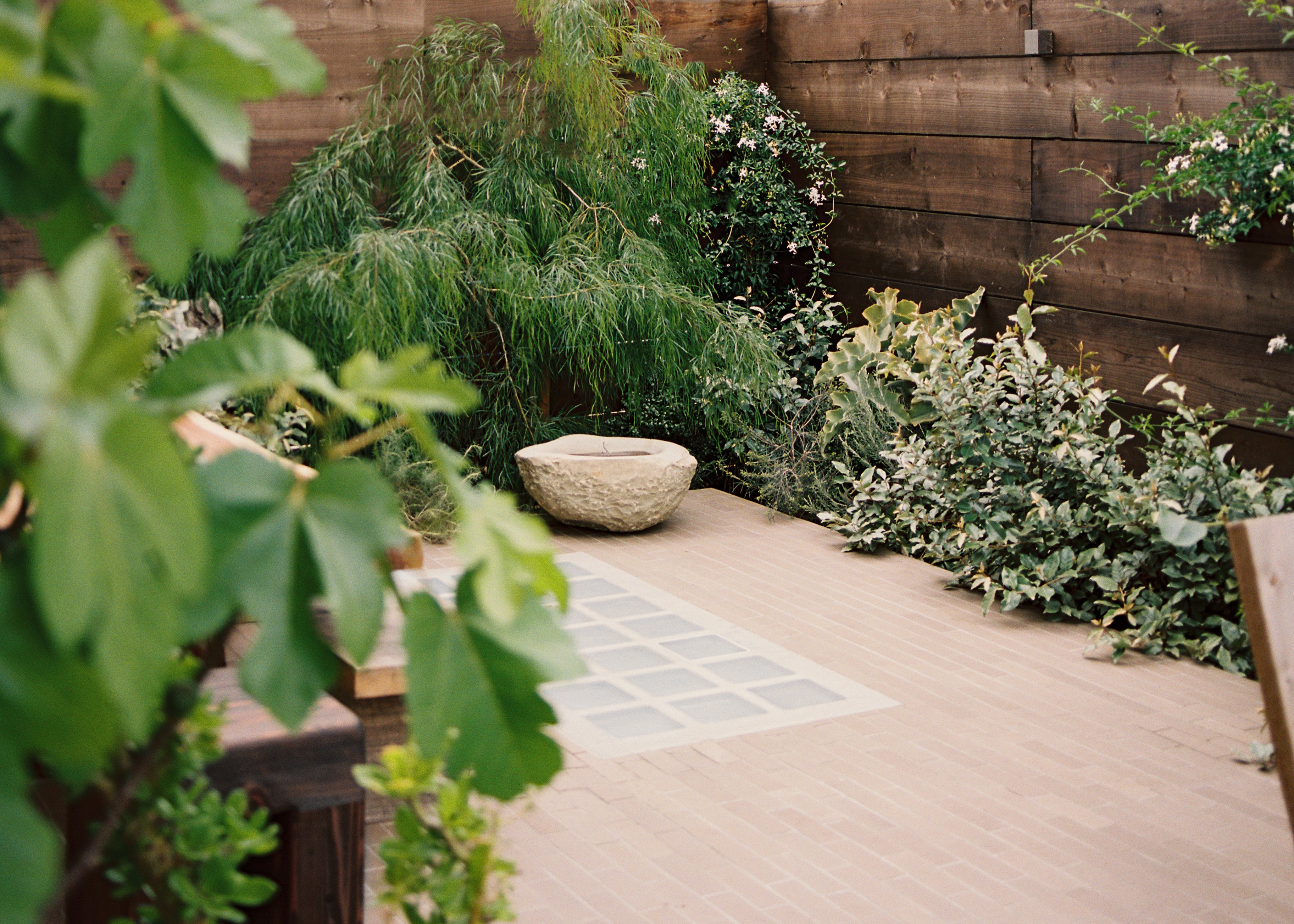 Nature's Essence: The Power of Art and Design