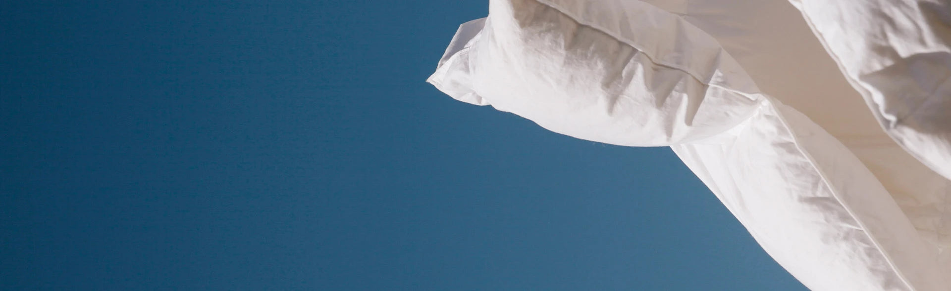 Cartivias + MADE SAFE