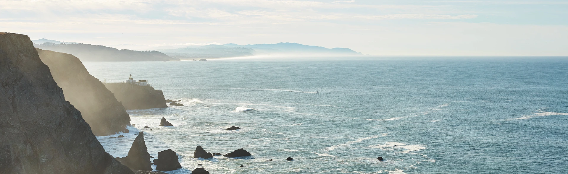 Going Back To Our Roots