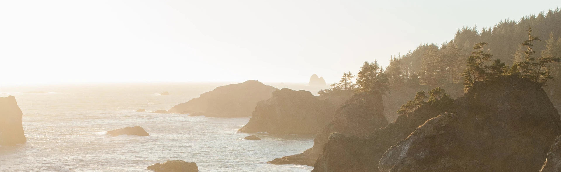 A Dedication To Biophilic Design