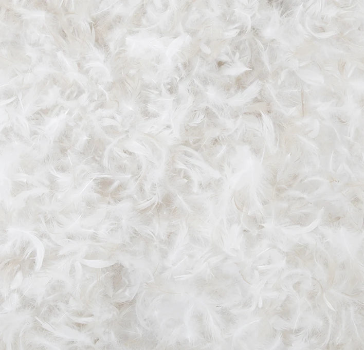 What is Responsibly Sourced Down?