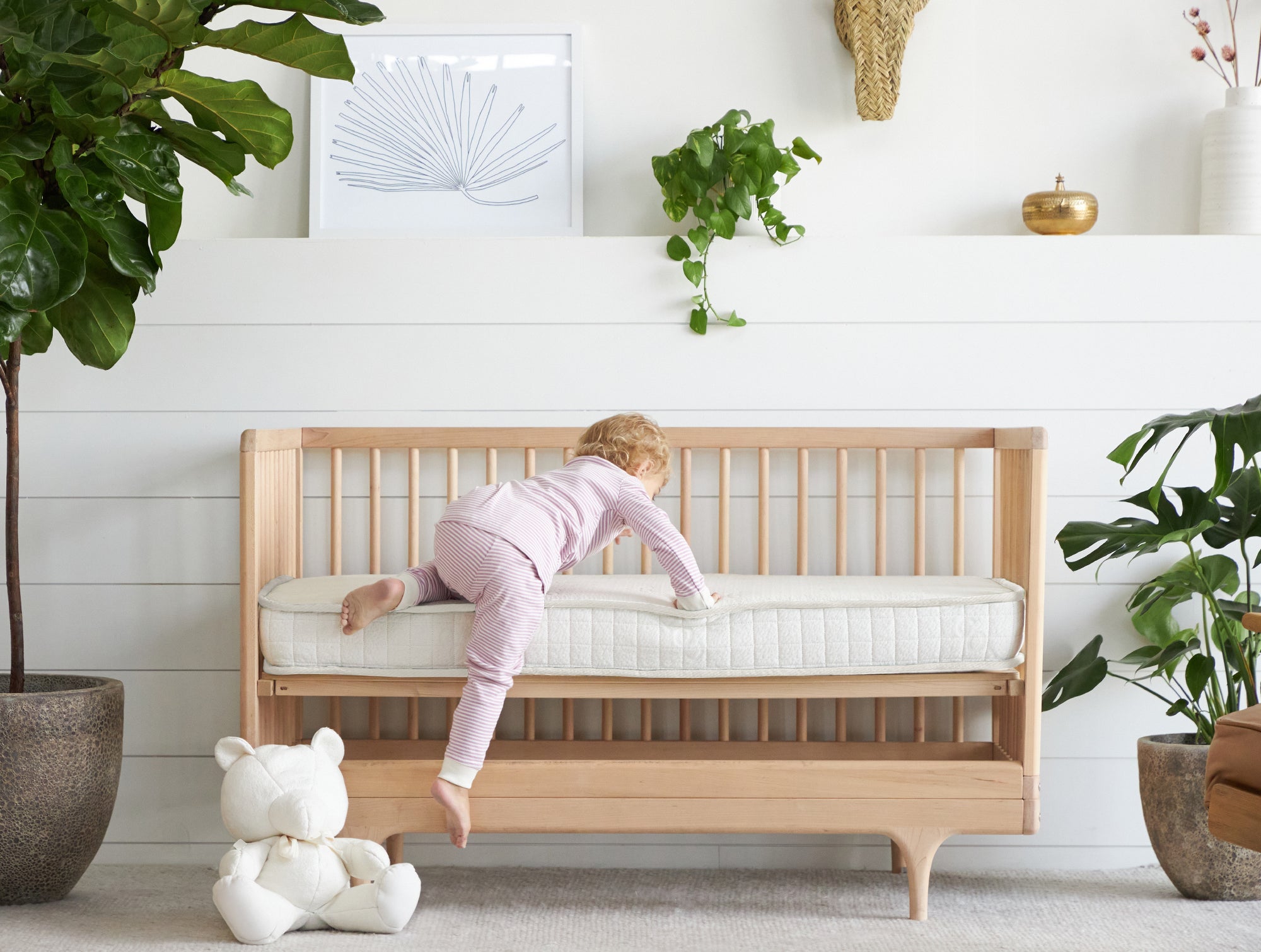 Cartivias Organic Crib Mattress